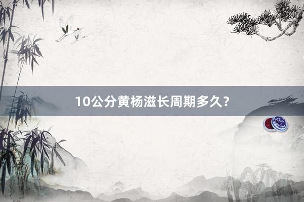 10公分黄杨滋长周期多久？